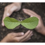 Kwiatków nigdy za wiele. Wymień się!