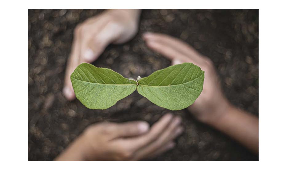 Kwiatków nigdy za wiele. Wymień się!