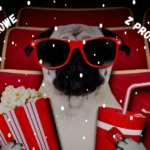 Ferie z projektorem dla dzieci i młodzieży