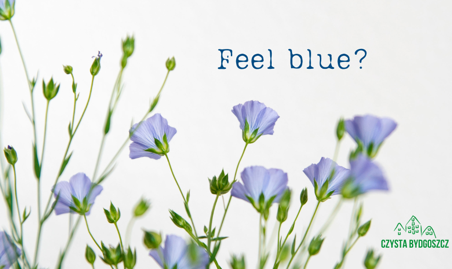 Feel blue? Kwietne łąki z papieru na poprawę nastroju – warsztaty recyklingowe