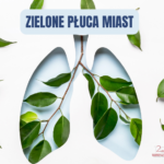 Zielone płuca miast - zajęcia edukacyjne i wycieczka