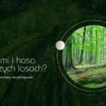 Co szumi i hasa w naszych lasach? Miniwykład i warsztaty recyklingowe