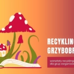 Recyklingowe grzybobranie – warsztaty recyklingowe dla grup zorganizowanych